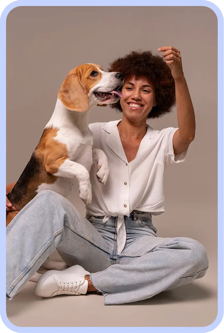 dogs