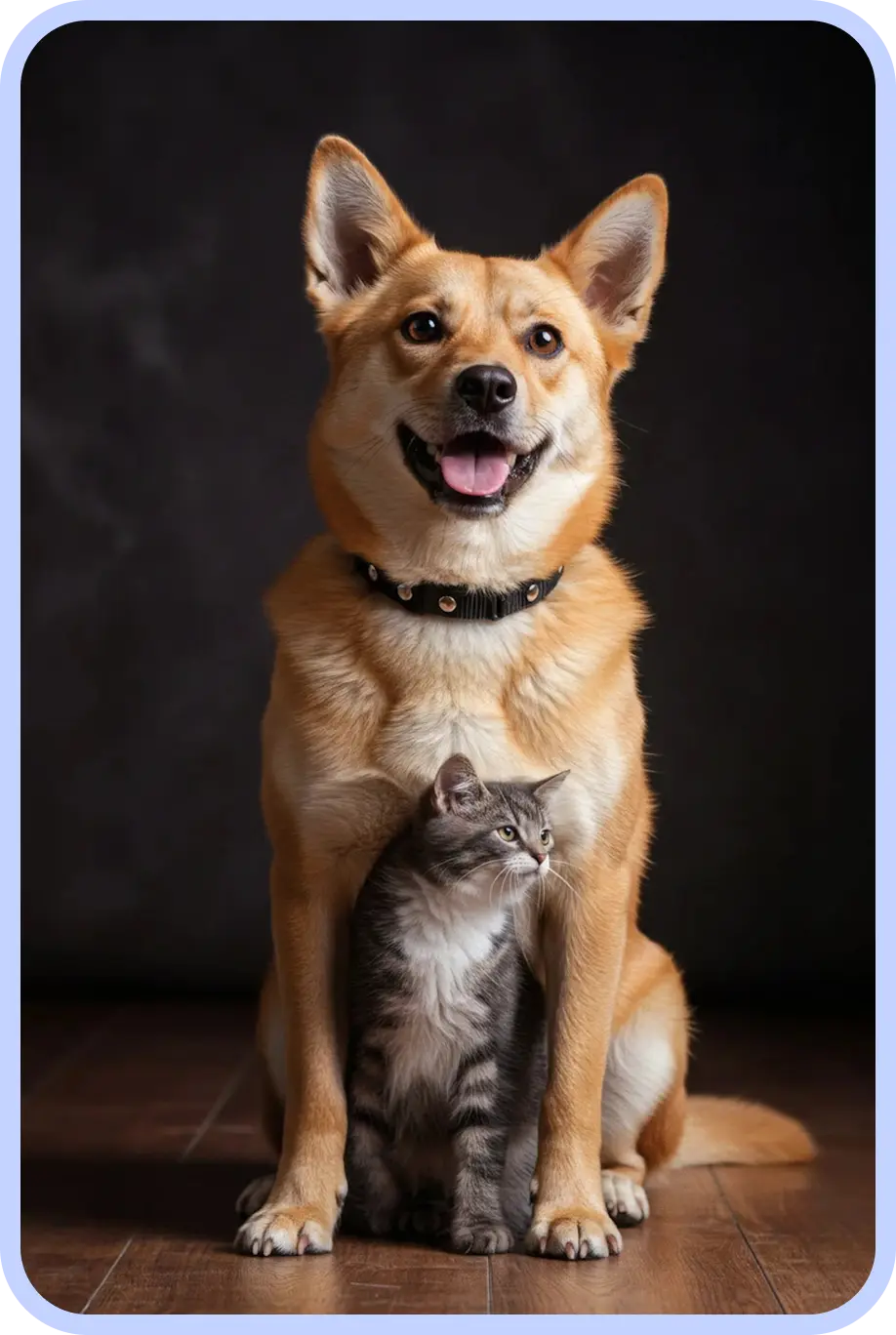 dogs